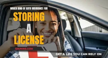 License Storage and Auto Insurance: What's the Connection?