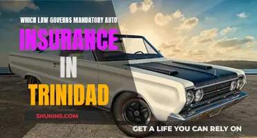 Trinidad's Auto Insurance: Understanding the Governing Laws