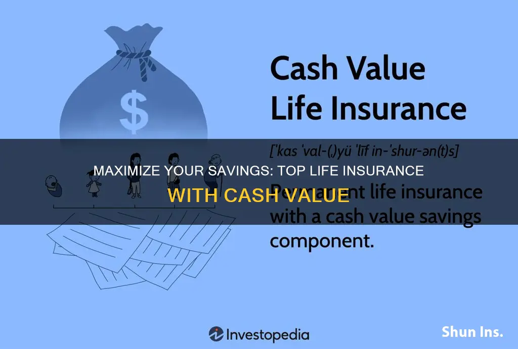 which life insurance build cash value