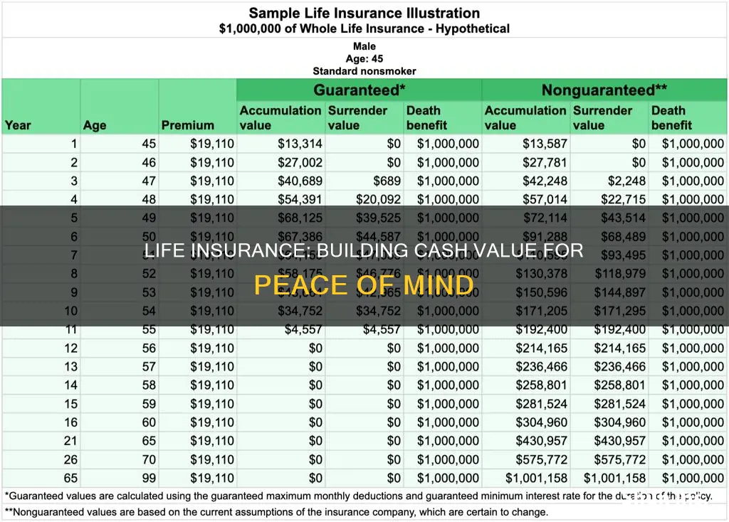 which life insurance build cash value