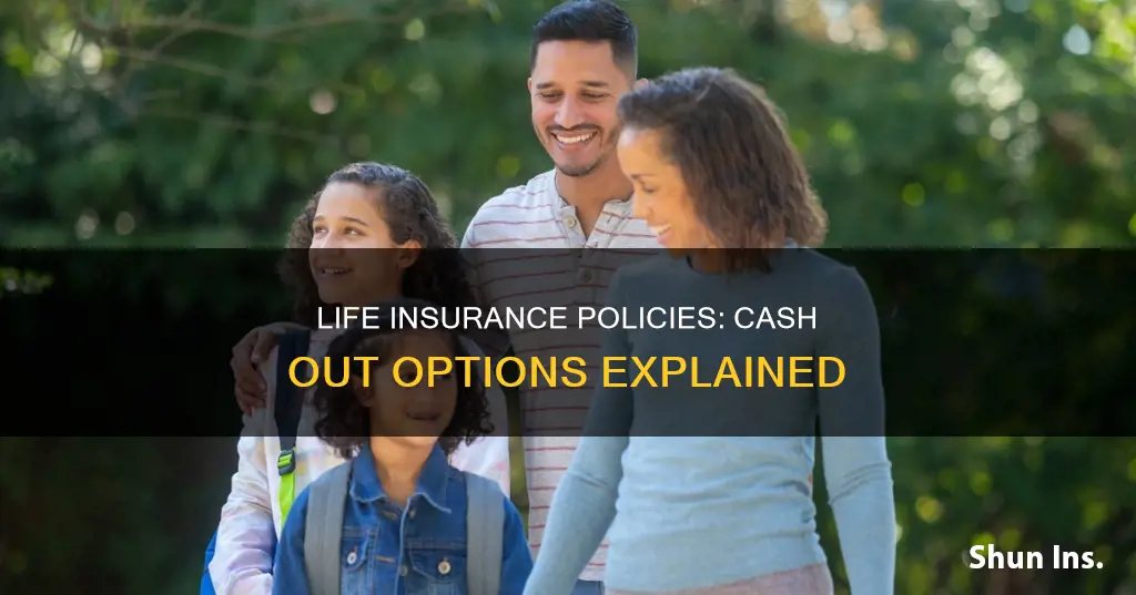 which life insurance can you cash out