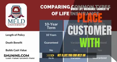 Choosing the Right Life Insurance: A Guide to Selecting the Best Carrier