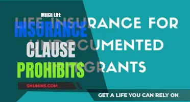 Unveiling the Prohibited Clause: Life Insurance's Hidden Restriction