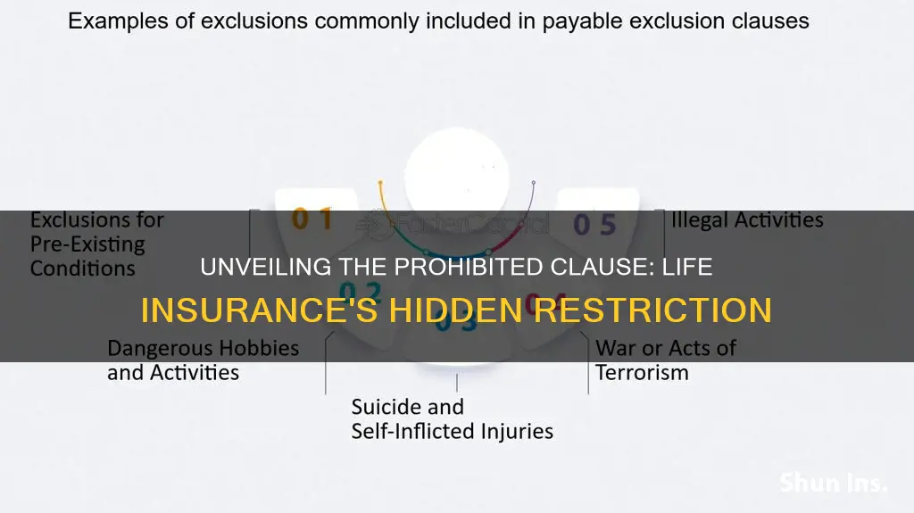 which life insurance clause prohibits