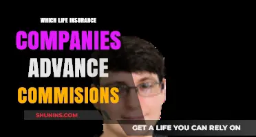 Life Insurance Companies Offering Advanced Commissions: A Comprehensive Guide