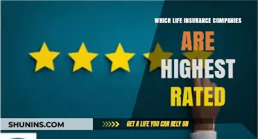 Top-Rated Life Insurance Companies: A Comprehensive Guide to the Best