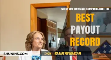 Top Life Insurance Companies with Consistently High Payout Records