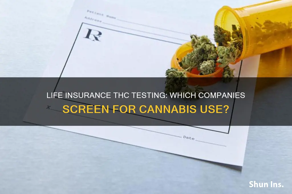 which life insurance companies test for thc