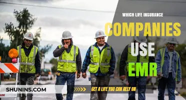 Life Insurance Companies Utilizing EMR: A Comprehensive Guide