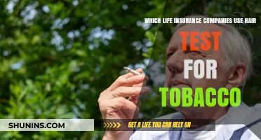 Life Insurance Hair Tests: Which Companies Check for Tobacco Use?