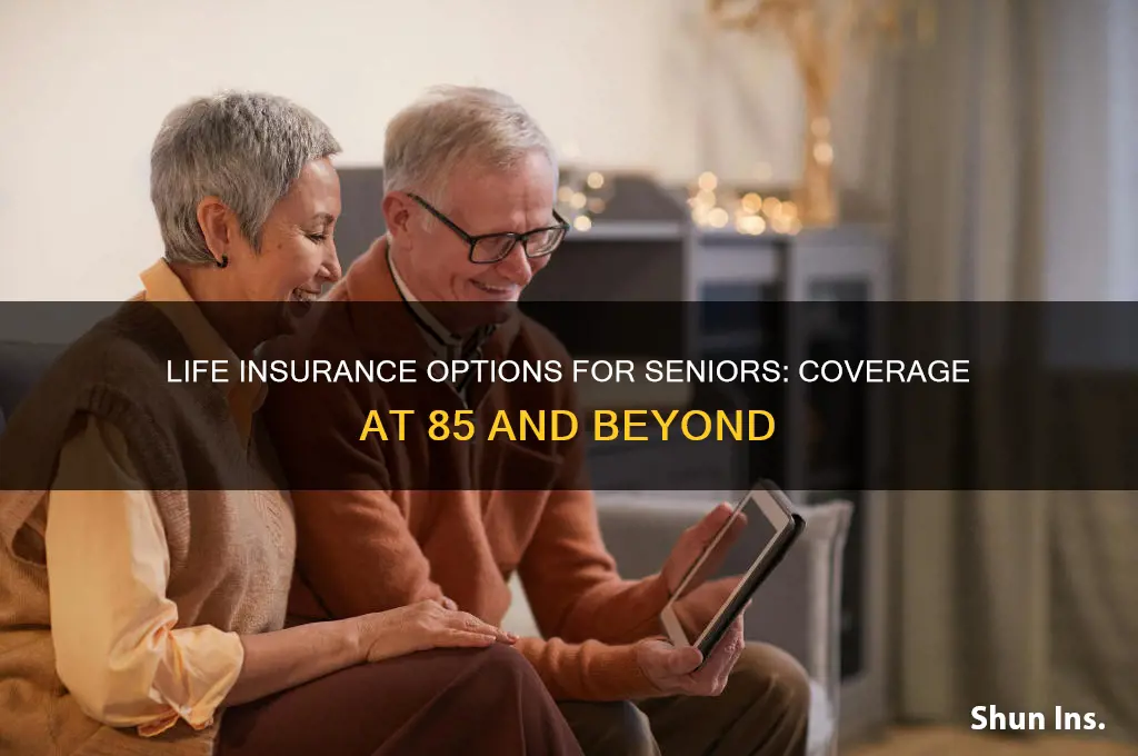 which life insurance company accepts clients 85 years
