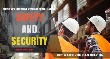 Securing Your Future: Life Insurance Companies Emphasizing Safety and Security