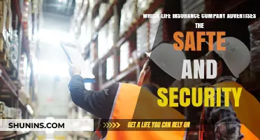 Securing Your Future: Life Insurance Companies Promoting Safety and Security