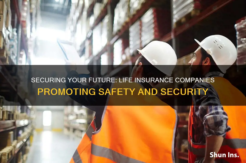 which life insurance company advertises the safte and security