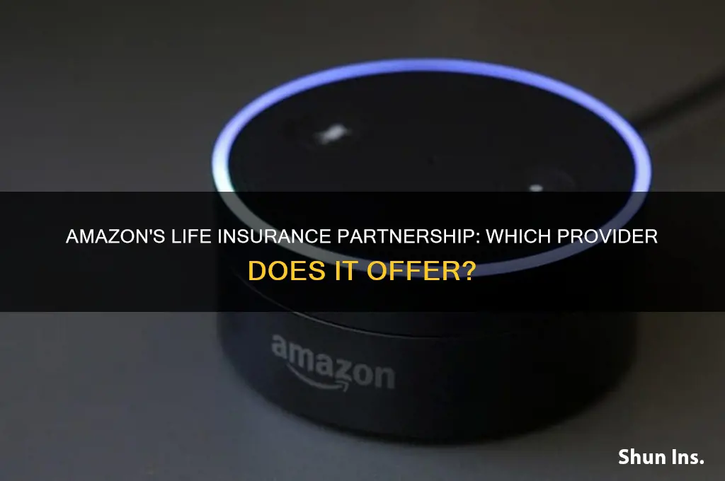 which life insurance company does amazon offer