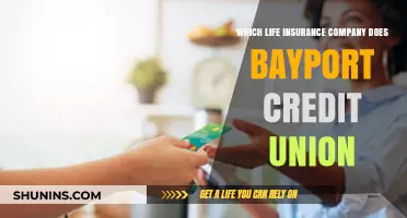Bayport Credit Union's Life Insurance Partner: Which Company is It?