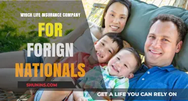 Best Life Insurance Options for Foreign Nationals: A Comprehensive Guide