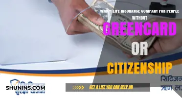 Life Insurance Options for Non-Citizens and Visa Holders in the U.S