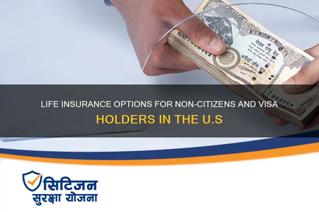 which life insurance company for people without greencard or citizenship