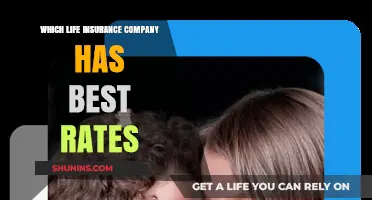 Top Life Insurance Companies Offering the Best Rates in 2023