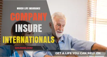 Life Insurance for Internationals: Top Companies Offering Global Coverage