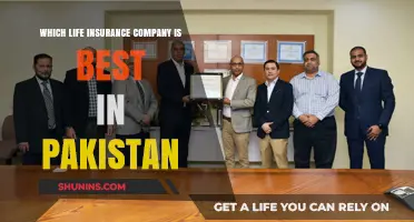 Top Life Insurance Companies in Pakistan: A Comprehensive Comparison Guide