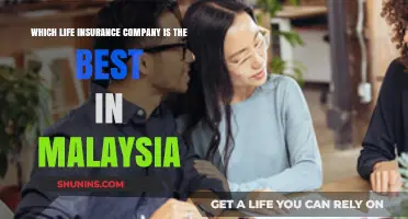 Top Life Insurance Companies in Malaysia: A Comprehensive Comparison Guide