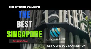 Top Life Insurance Companies in Singapore: A Comprehensive Comparison Guide