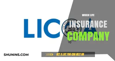 Choosing the Right Life Insurance Company: A Comprehensive Guide