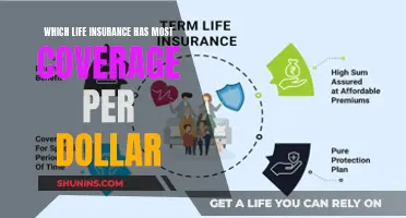 Maximizing Your Dollar: Unlocking the Best Life Insurance Coverage