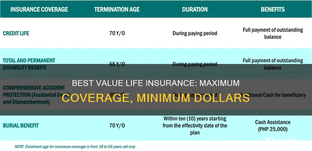 which life insurance has most coverage per dollar
