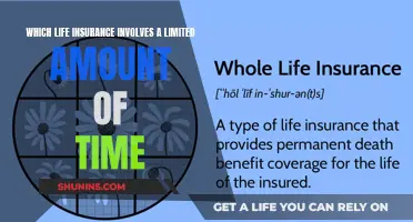 Time-Limited Life Insurance: A Quick Decision, Long-Term Benefits