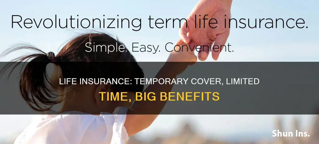which life insurance involves a limited amount of time