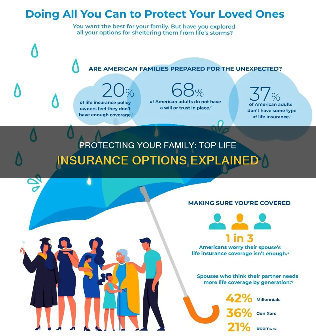 which life insurance is best for family