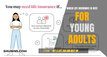 Life Insurance for Young Adults: Top Choices and Why