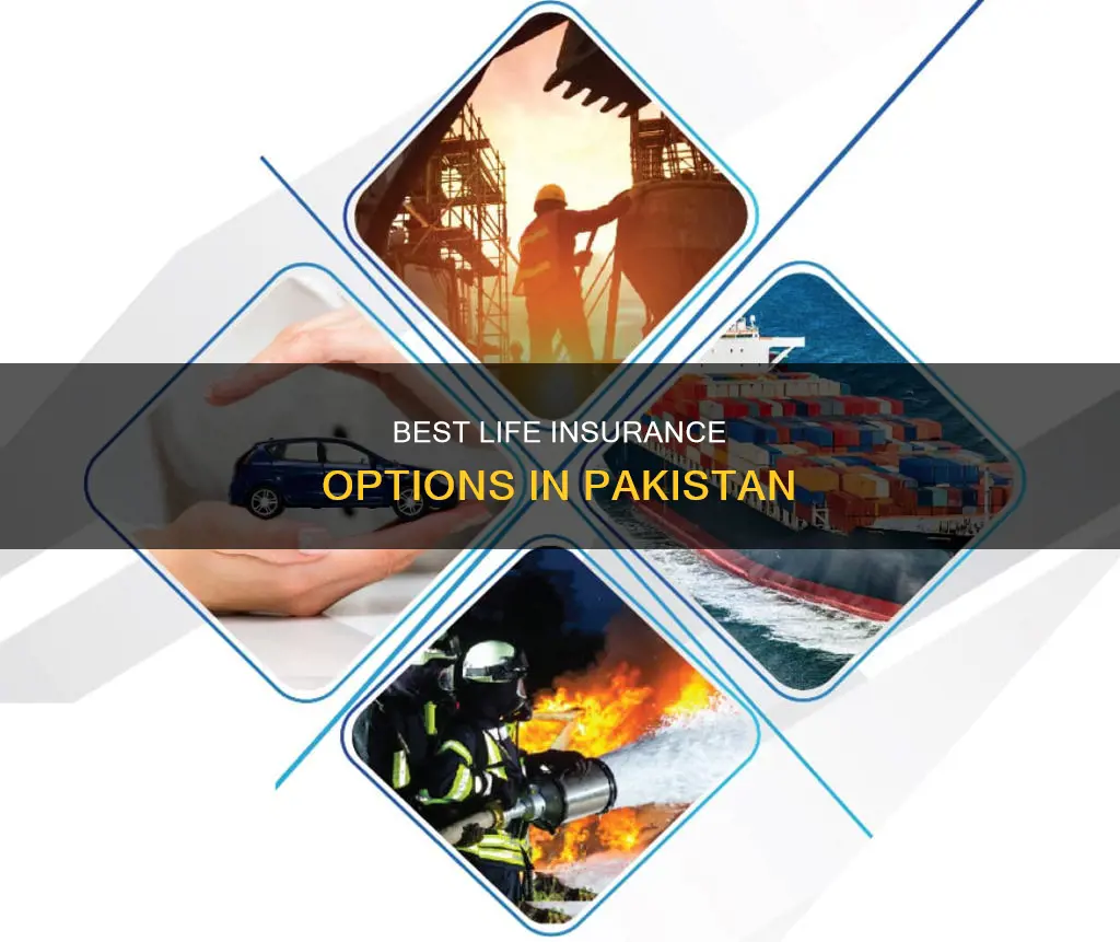 which life insurance is best in pakistan