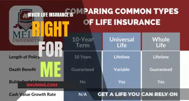 Navigating Life Insurance: Finding the Perfect Policy for Your Needs