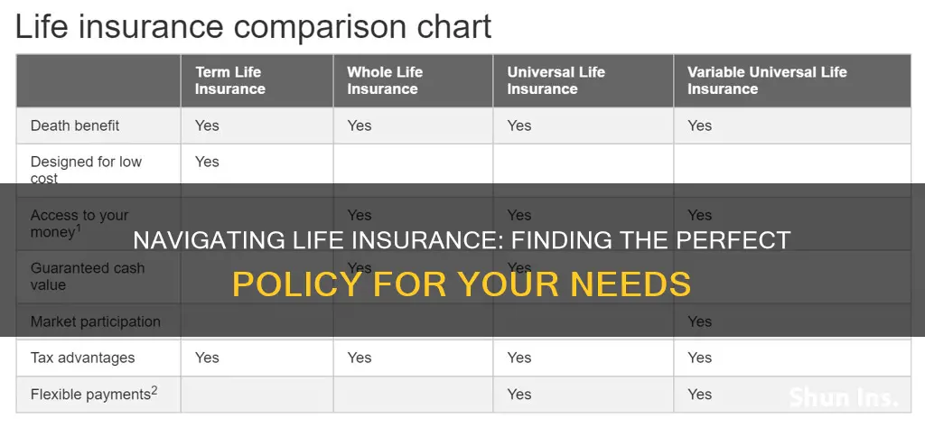 which life insurance is right for me