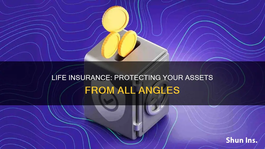 which life insurance is safe from government and sues