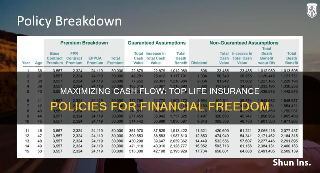 which life insurance offfers best cash flow