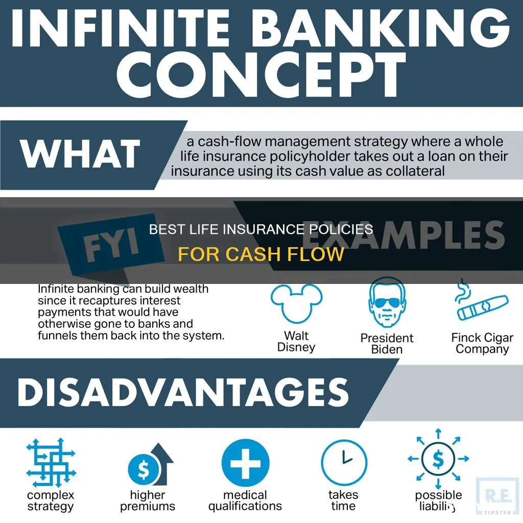 which life insurance offfers best cash flow