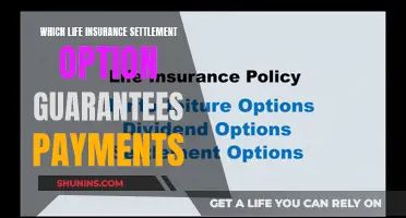 Life Insurance Settlement: Guaranteed Payment Options