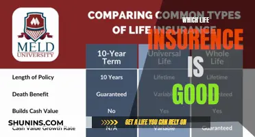 Choosing the Right Life Insurance: A Comprehensive Guide