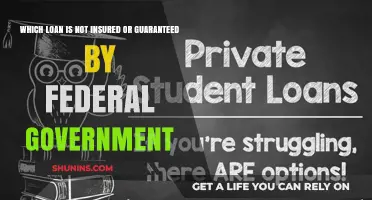 Federal Government: Loan Insurance and Guarantees Explained