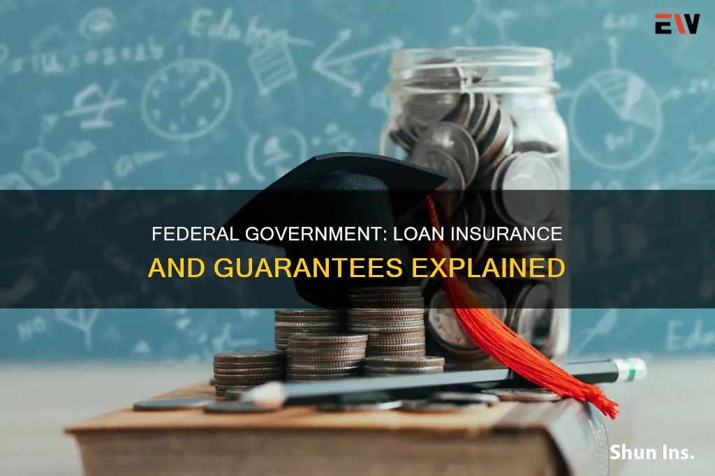 which loan is not insured or guaranteed by federal government