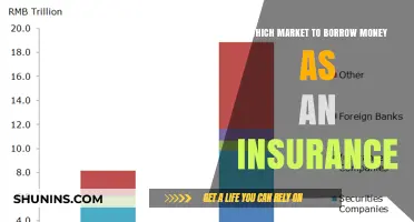 Borrowing Money: Insurance's Best-Kept Market Secret