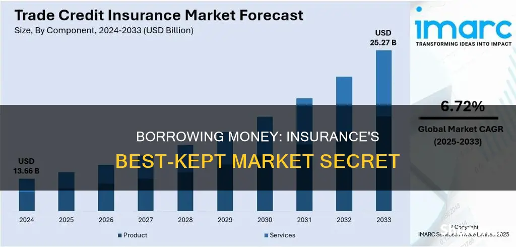 which market to borrow money as an insurance