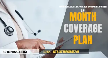 Best Short-Term Medical Insurance Plans: 6-Month Coverage