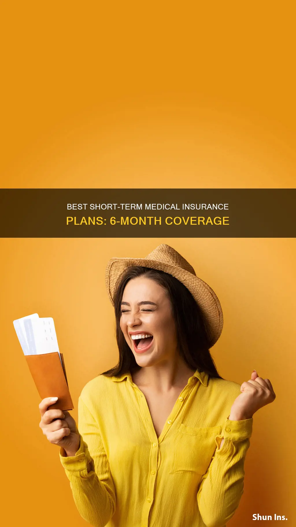 which medical insurance companies offer a 6 month coverage plan
