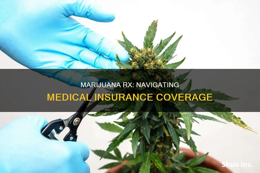which medical insurance do marijuaa rx